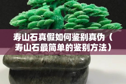 壽山石真假如何鑒別真偽（壽山石最簡單的鑒別方法）