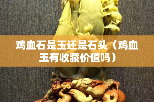 雞血石是玉還是石頭（雞血玉有收藏價值嗎）