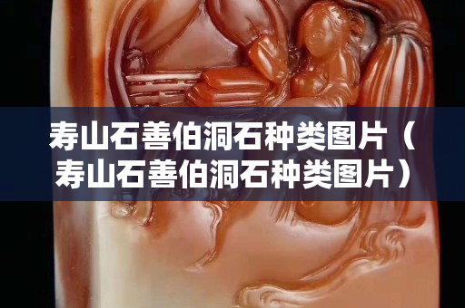 壽山石善伯洞石種類圖片（壽山石善伯洞石種類圖片）