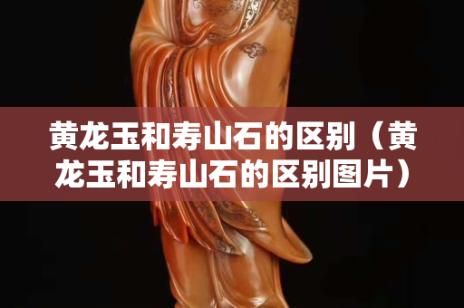黃龍玉和壽山石的區別（黃龍玉和壽山石的區別圖片）