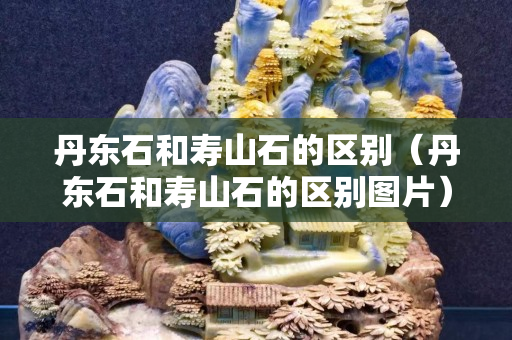 丹東石和壽山石的區(qū)別（丹東石和壽山石的區(qū)別圖片）