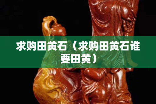 求購田黃石（求購田黃石誰要田黃）