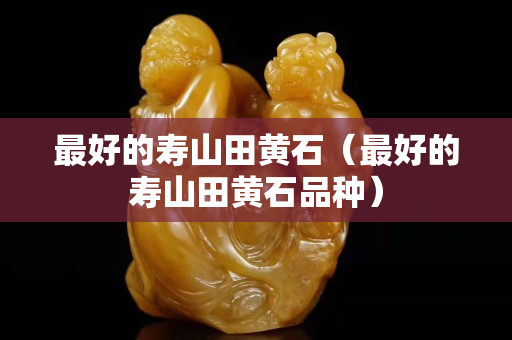 最好的壽山田黃石（最好的壽山田黃石品種）