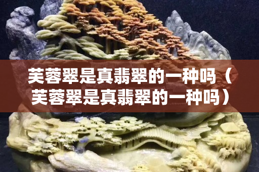 芙蓉翠是真翡翠的一種嗎（芙蓉翠是真翡翠的一種嗎）