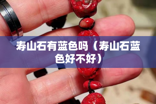 壽山石有藍(lán)色嗎（壽山石藍(lán)色好不好）