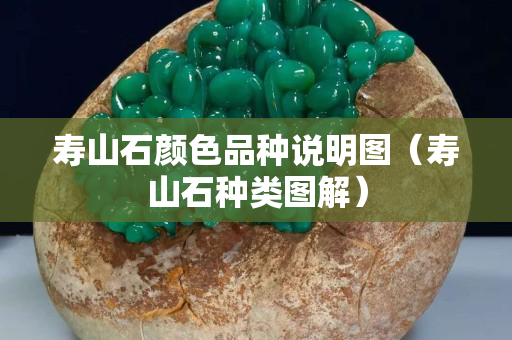 壽山石顏色品種說明圖（壽山石種類圖解）
