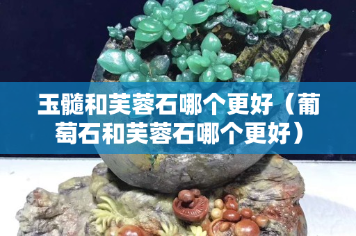 玉髓和芙蓉石哪個(gè)更好（葡萄石和芙蓉石哪個(gè)更好）