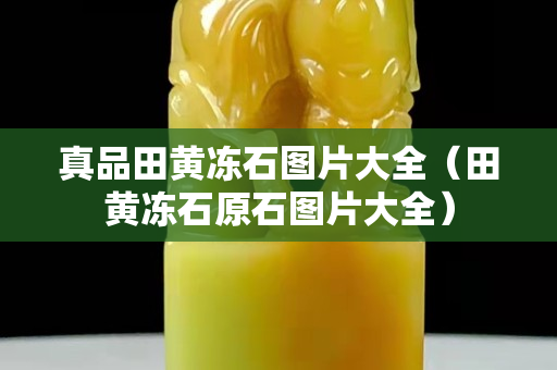 真品田黃凍石圖片大全（田黃凍石原石圖片大全）