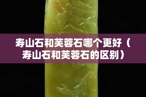 壽山石和芙蓉石哪個(gè)更好（壽山石和芙蓉石的區(qū)別）