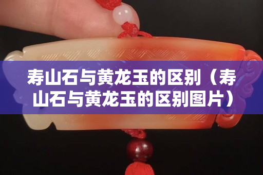 壽山石與黃龍玉的區(qū)別（壽山石與黃龍玉的區(qū)別圖片）