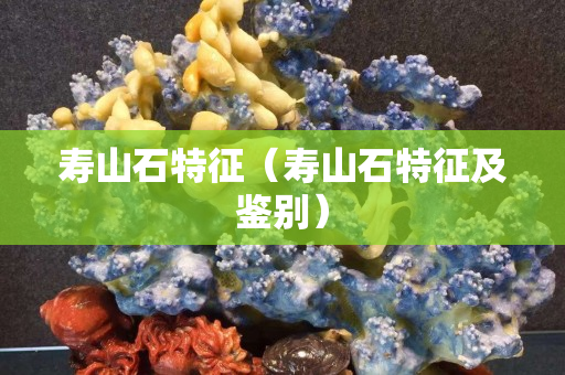 壽山石特征（壽山石特征及鑒別）