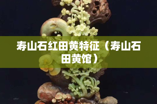 壽山石紅田黃特征（壽山石田黃館）