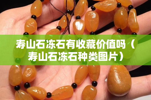 壽山石凍石有收藏價值嗎（壽山石凍石種類圖片）