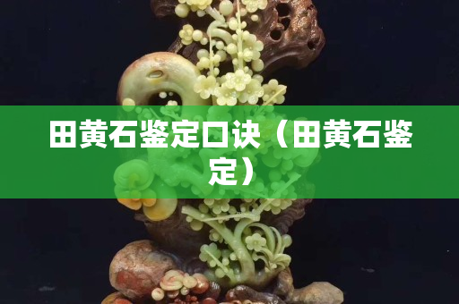 田黃石鑒定口訣（田黃石鑒定）