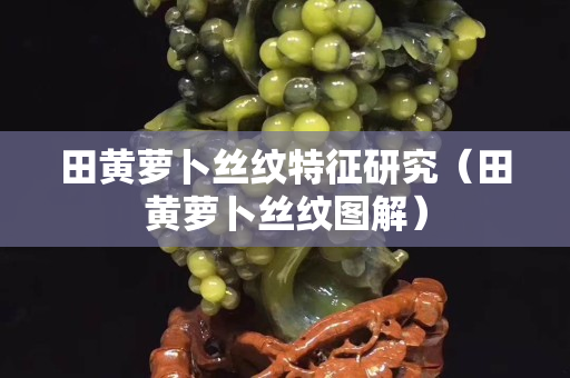 田黃蘿卜絲紋特征研究（田黃蘿卜絲紋圖解）
