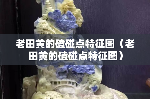 老田黃的磕碰點特征圖（老田黃的磕碰點特征圖）