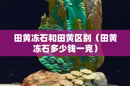 田黃凍石和田黃區別（田黃凍石多少錢一克）