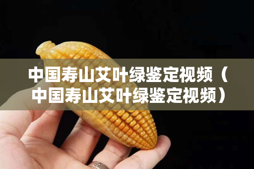 中國壽山艾葉綠鑒定視頻（中國壽山艾葉綠鑒定視頻）
