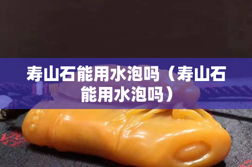 壽山石能用水泡嗎（壽山石能用水泡嗎）