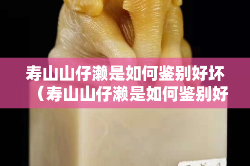 壽山山仔瀨是如何鑒別好壞（壽山山仔瀨是如何鑒別好壞）