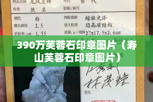 390萬(wàn)芙蓉石印章圖片（壽山芙蓉石印章圖片）