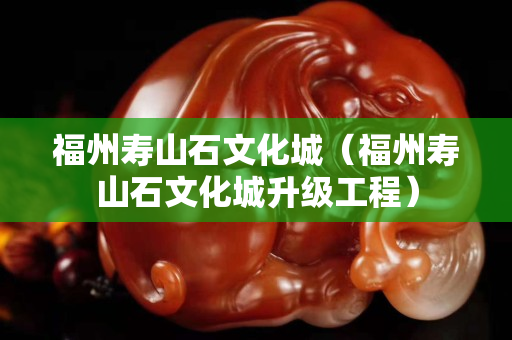 福州壽山石文化城（福州壽山石文化城升級工程）