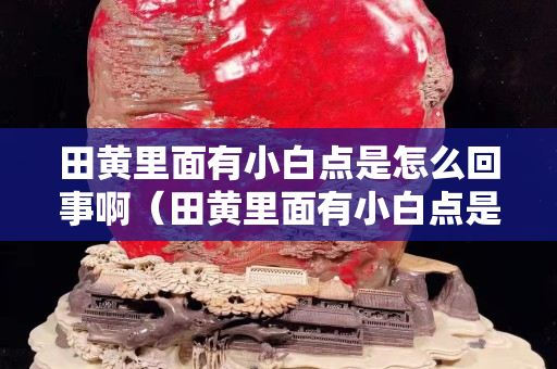 田黃里面有小白點(diǎn)是怎么回事啊（田黃里面有小白點(diǎn)是怎么回事啊）