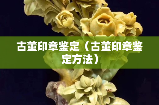 古董印章鑒定（古董印章鑒定方法）