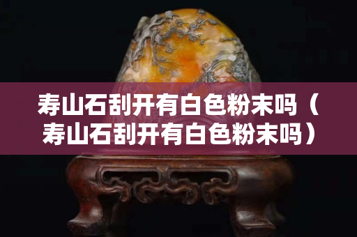 壽山石刮開有白色粉末嗎（壽山石刮開有白色粉末嗎）