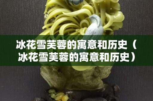 冰花雪芙蓉的寓意和歷史（冰花雪芙蓉的寓意和歷史）