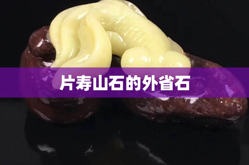 片壽山石的外省石