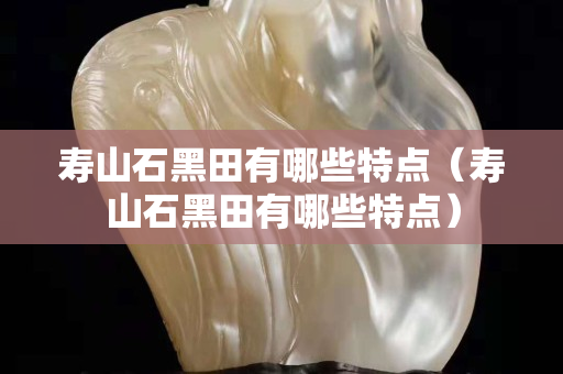 壽山石黑田有哪些特點（壽山石黑田有哪些特點）