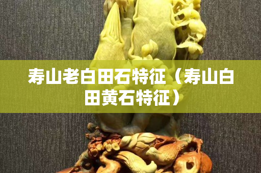 壽山老白田石特征（壽山白田黃石特征）
