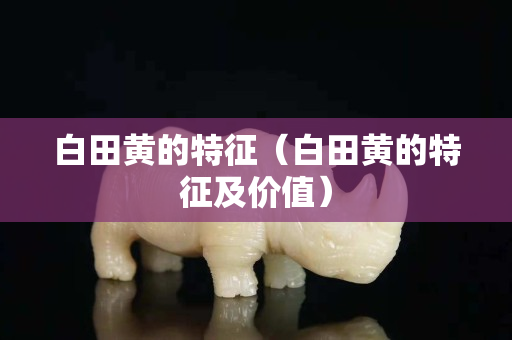 白田黃的特征（白田黃的特征及價值）