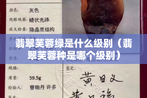 翡翠芙蓉綠是什么級別（翡翠芙蓉種是哪個級別）