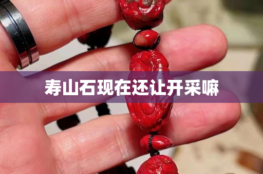 壽山石現在還讓開采嘛