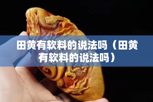 田黃有軟料的說法嗎（田黃有軟料的說法嗎）