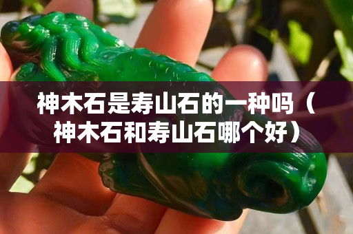 神木石是壽山石的一種嗎（神木石和壽山石哪個好）