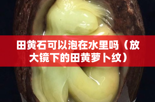 田黃石可以泡在水里嗎（放大鏡下的田黃蘿卜紋）