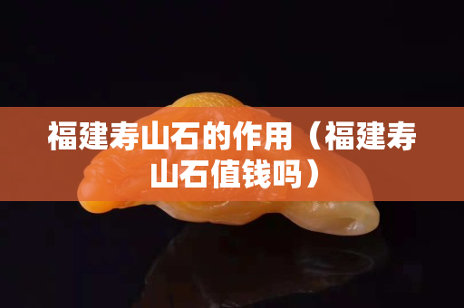 福建壽山石的作用（福建壽山石值錢嗎）
