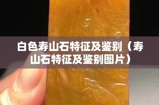 白色壽山石特征及鑒別（壽山石特征及鑒別圖片）