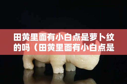 田黃里面有小白點是蘿卜紋的嗎（田黃里面有小白點是蘿卜紋的嗎）