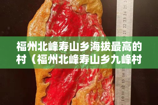 福州北峰壽山鄉(xiāng)海拔最高的村（福州北峰壽山鄉(xiāng)九峰村）