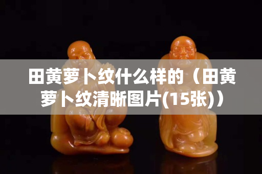 田黃蘿卜紋什么樣的（田黃蘿卜紋清晰圖片(15張)）