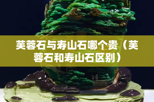 芙蓉石與壽山石哪個貴（芙蓉石和壽山石區別）