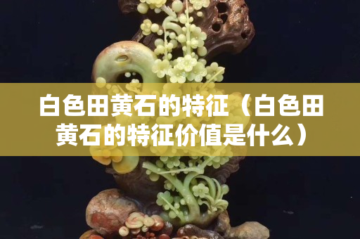 白色田黃石的特征（白色田黃石的特征價值是什么）