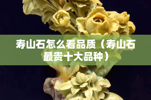 壽山石怎么看品質(zhì)（壽山石最貴十大品種）