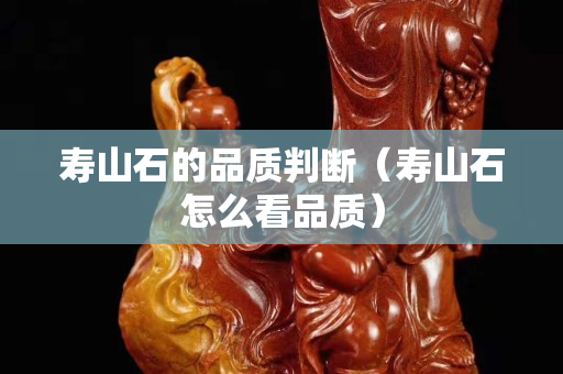 壽山石的品質(zhì)判斷（壽山石怎么看品質(zhì)）