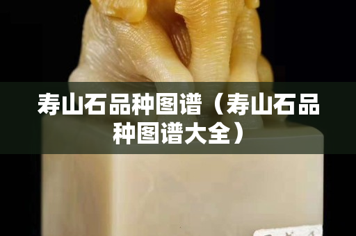 壽山石品種圖譜（壽山石品種圖譜大全）