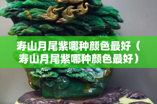 壽山月尾紫哪種顏色最好（壽山月尾紫哪種顏色最好）